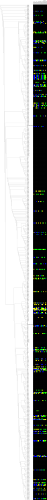 Regular Phylogenetic Tree of β-lactamases A with heatmap