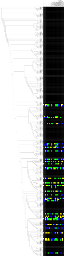 Regular Phylogenetic Tree of β-lactamases A with heatmap