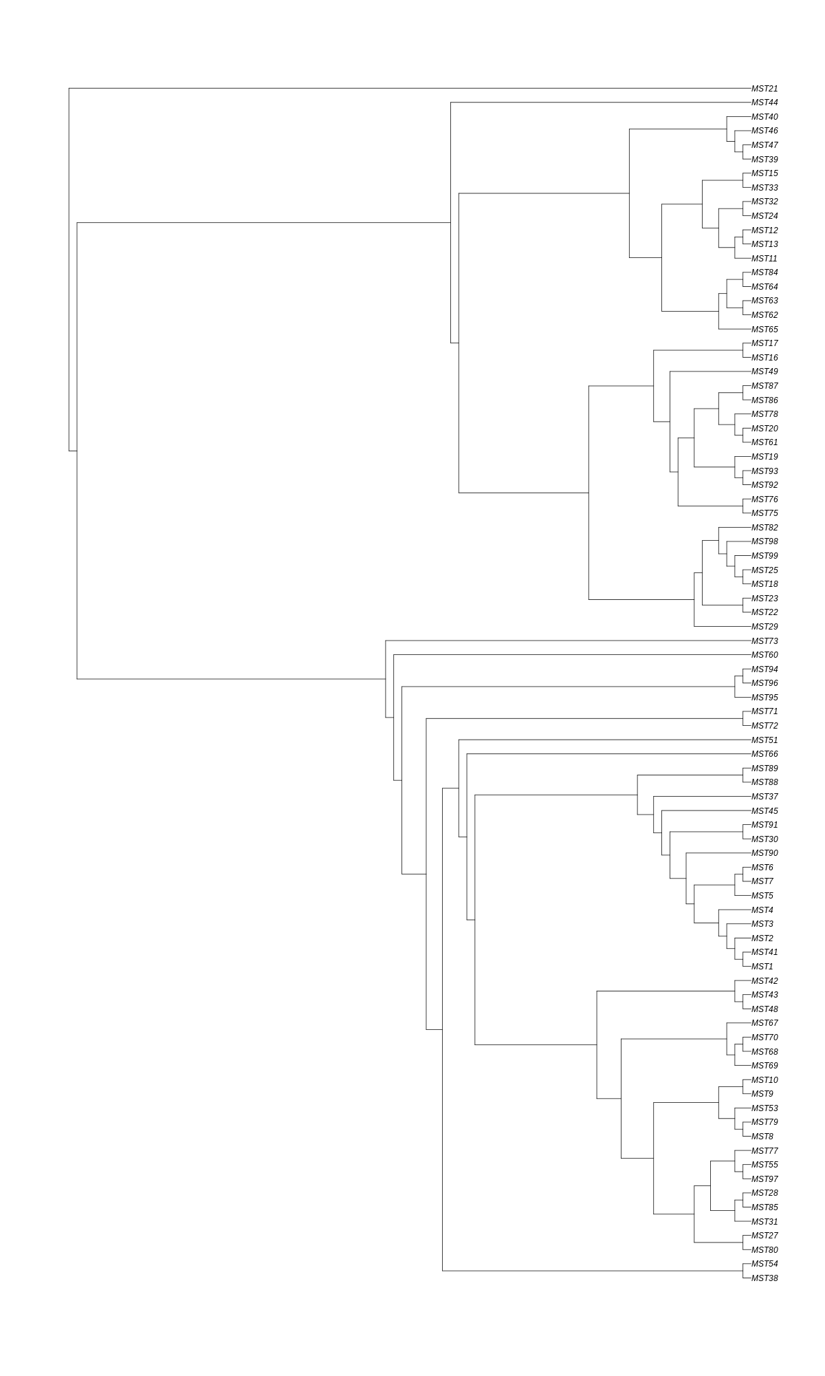 Phylogeny
