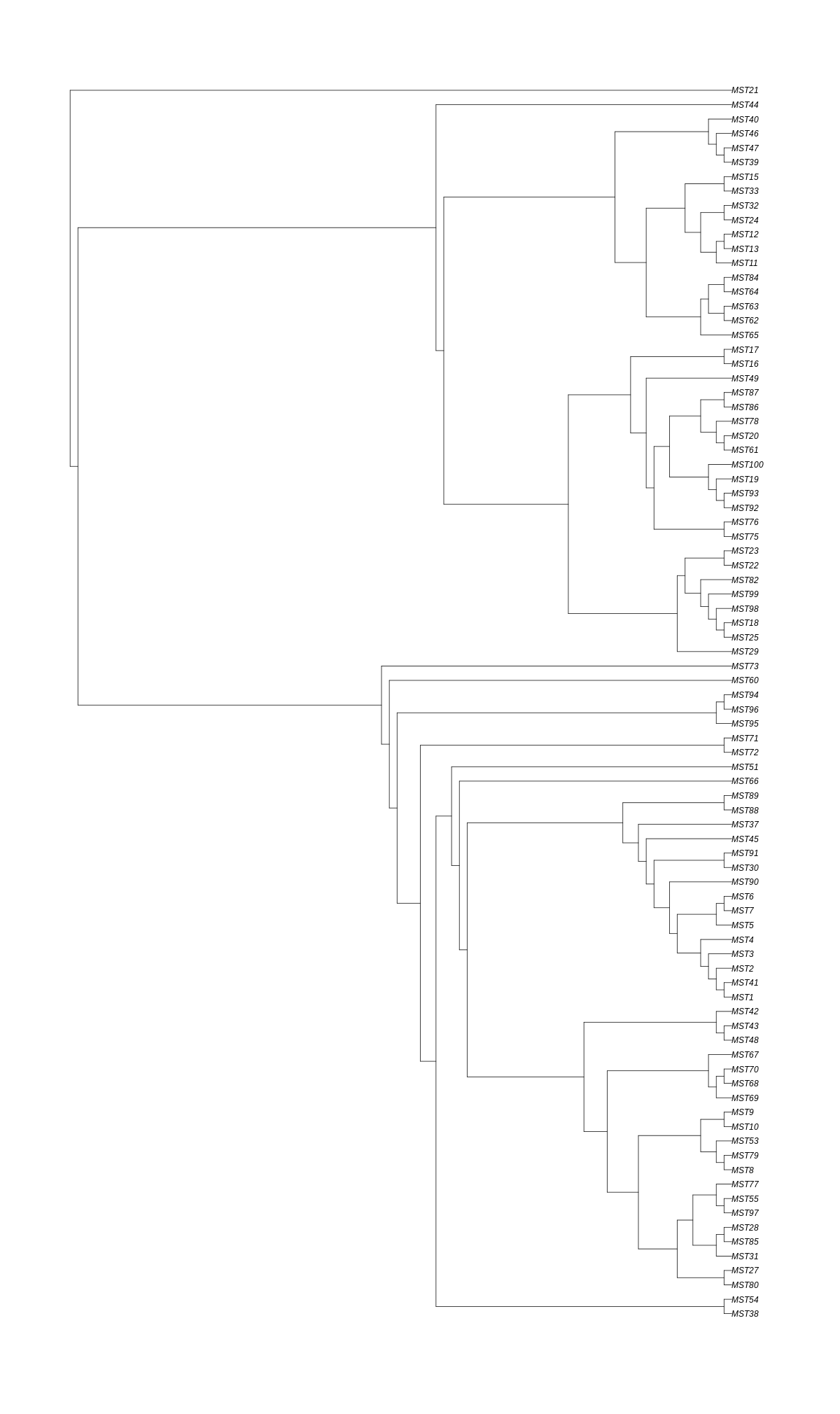 Phylogeny