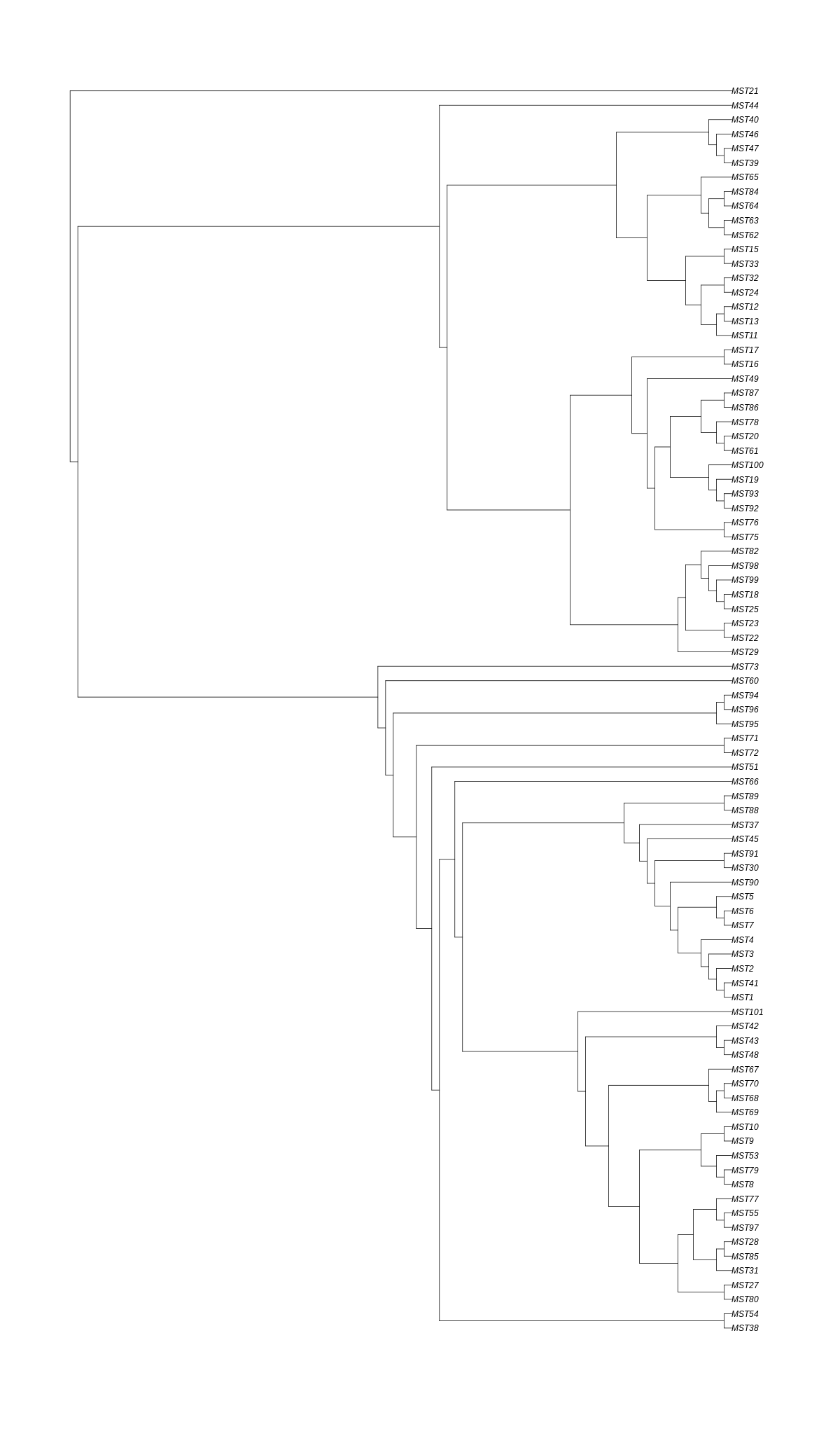 Phylogeny