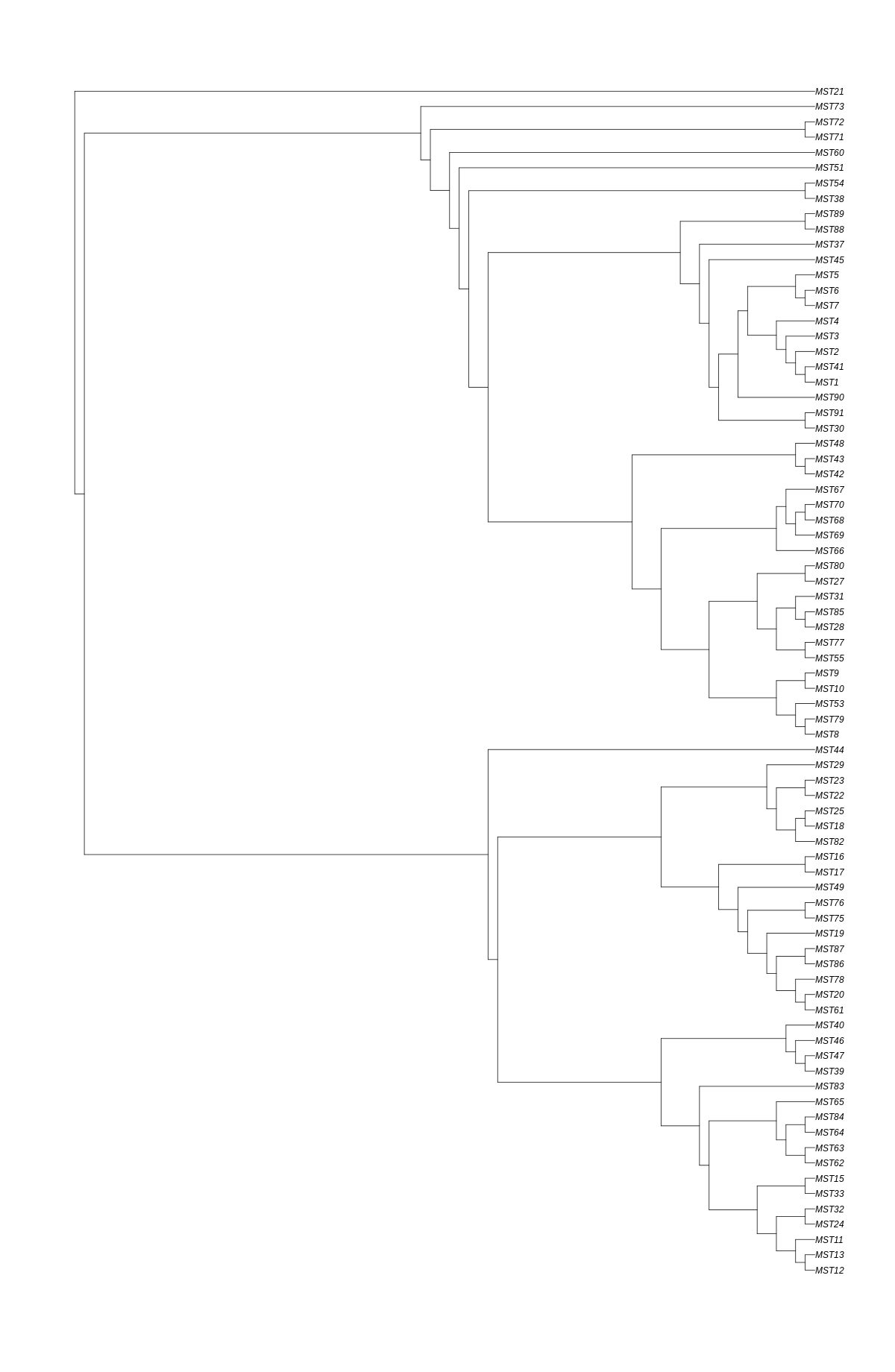 Phylogeny