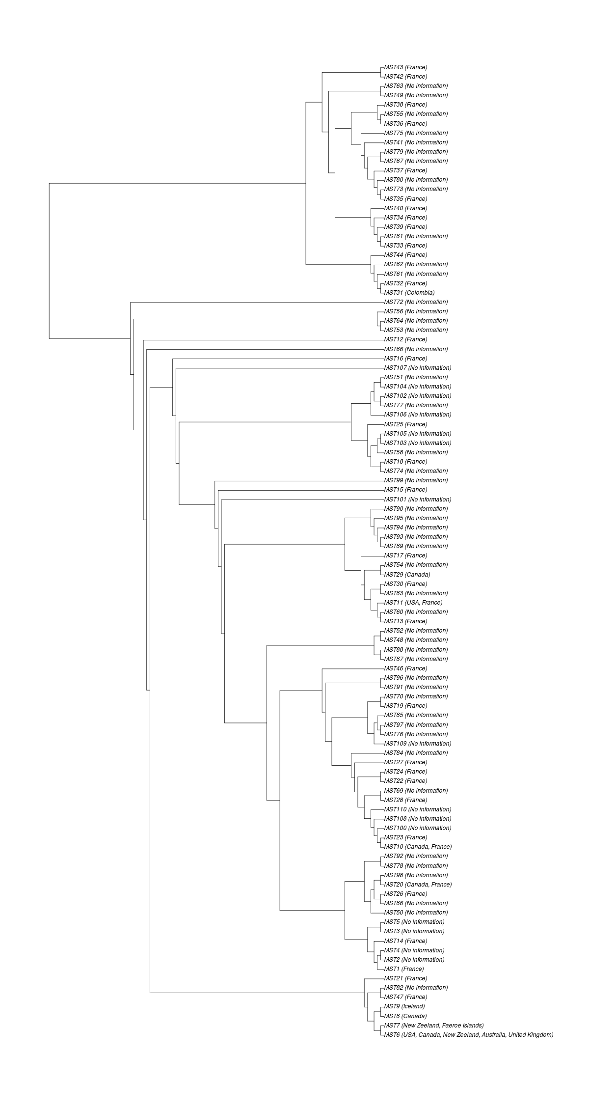 Phylogeny